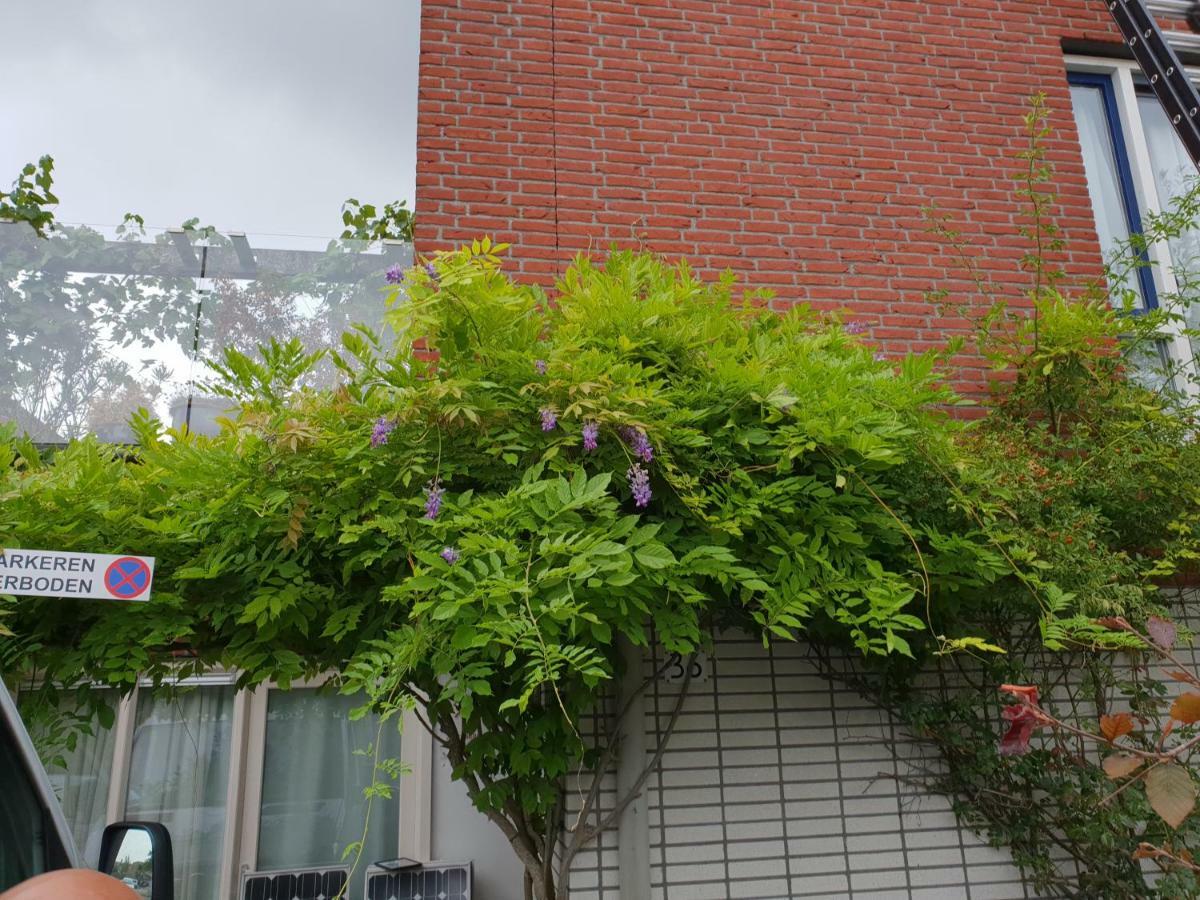 Johan'S B&B, Dakterras & Goedkoop Parkeren - Sinds 2014 Amsterdam Exterior foto